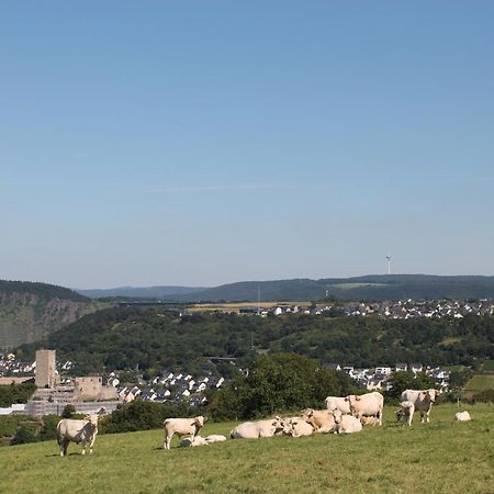 Ferienwohnung auf der Moselhöhe - Nähe Koblenz und Cochem Dieblich Exterior foto