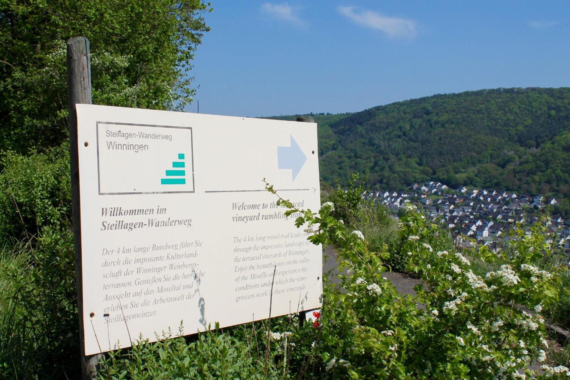 Ferienwohnung auf der Moselhöhe - Nähe Koblenz und Cochem Dieblich Exterior foto